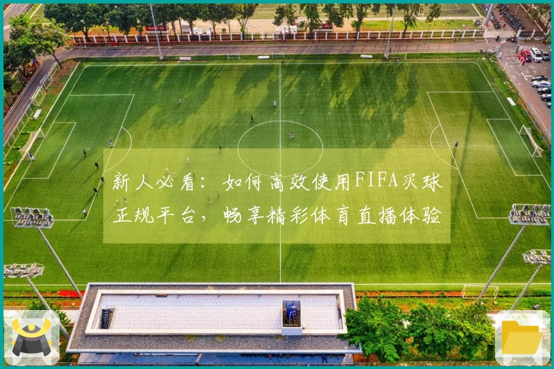 新人必看：如何高效使用FIFA买球正规平台，畅享精彩体育直播体验