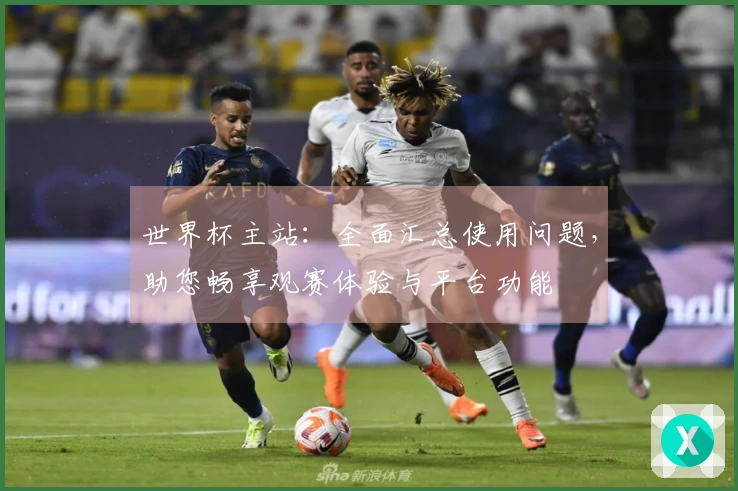 世界杯主站:全面汇总使用问题,助您畅享观赛体验与平台功能