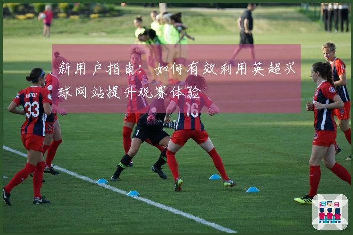 新用户指南：如何有效利用英超买球网站提升观赛体验