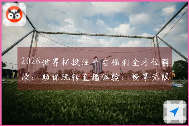 2026世界杯投注平台福利全方位解读，助你玩转直播体验，畅享无限精彩