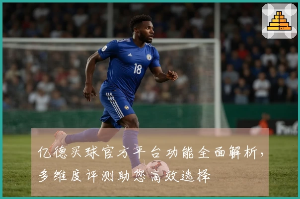 亿德买球官方平台功能全面解析，多维度评测助您高效选择