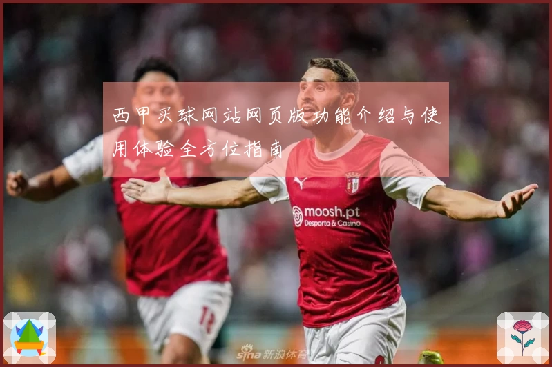 西甲买球网站网页版功能介绍与使用体验全方位指南