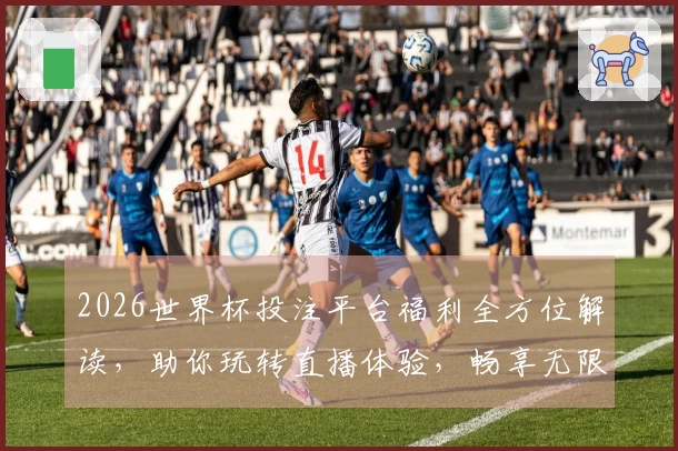 2026世界杯投注平台福利全方位解读，助你玩转直播体验，畅享无限精彩