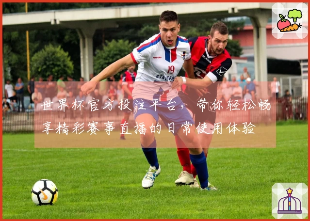 世界杯官方投注平台，带你轻松畅享精彩赛事直播的日常使用体验